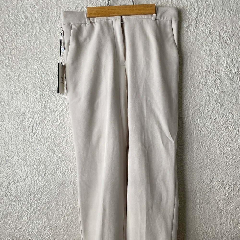 Aritzia Babaton Command Dress Pant